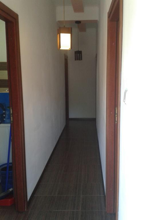 Studio Julius Constanta Luaran gambar